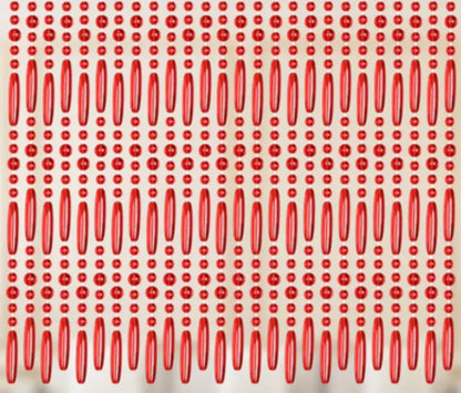 50401959543102|50401959641406