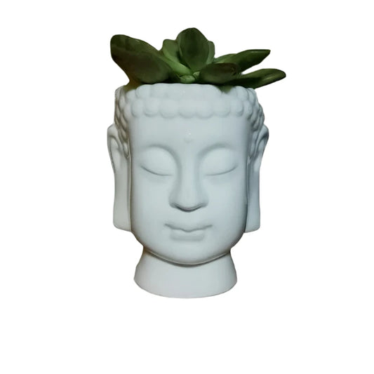 Chinese Style Glazed Ceramic Planter – Elegant Pot for Succulents and Flowers