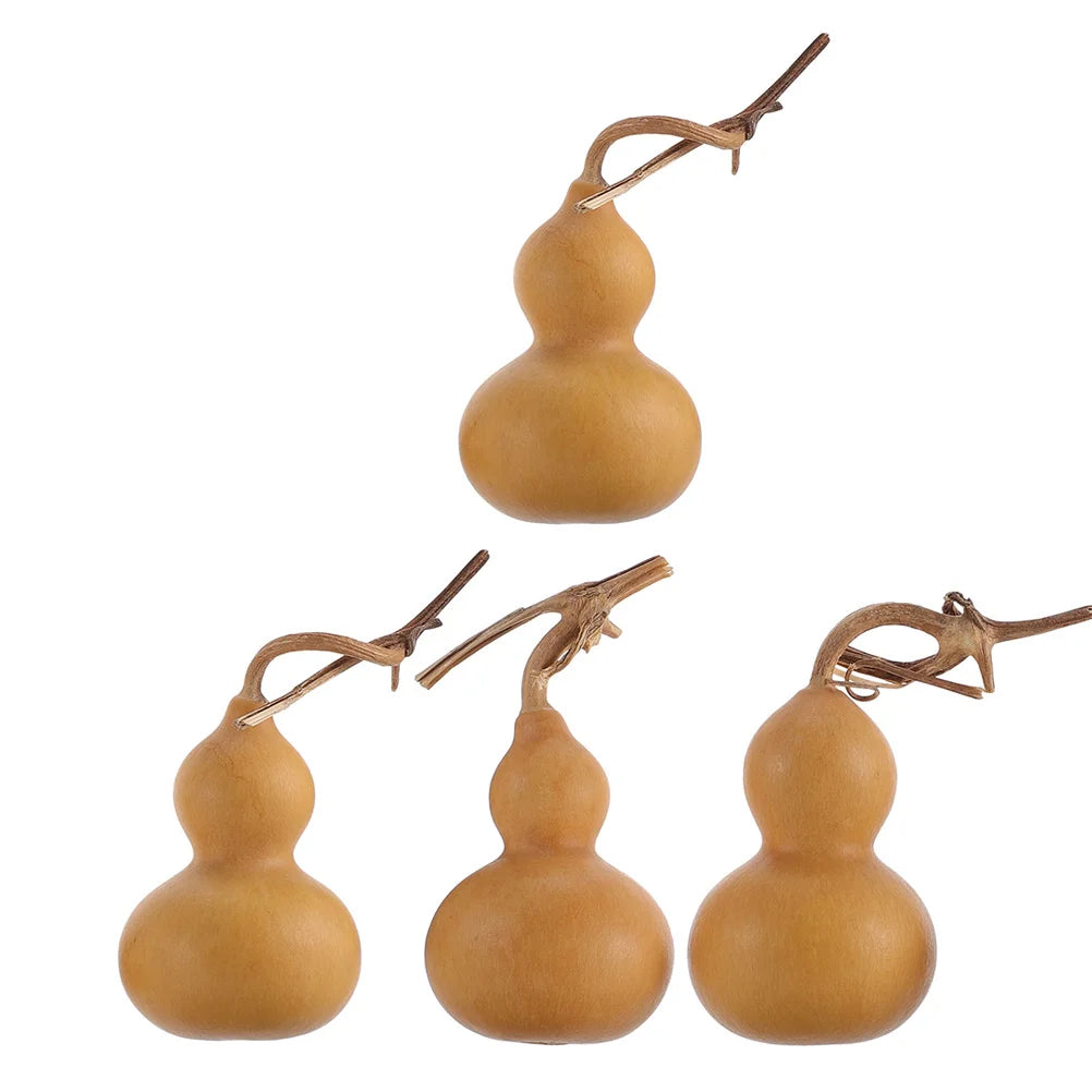 Natural Gourd Ornaments – Unique Home Decor & Perfect Gift for Any Occasion