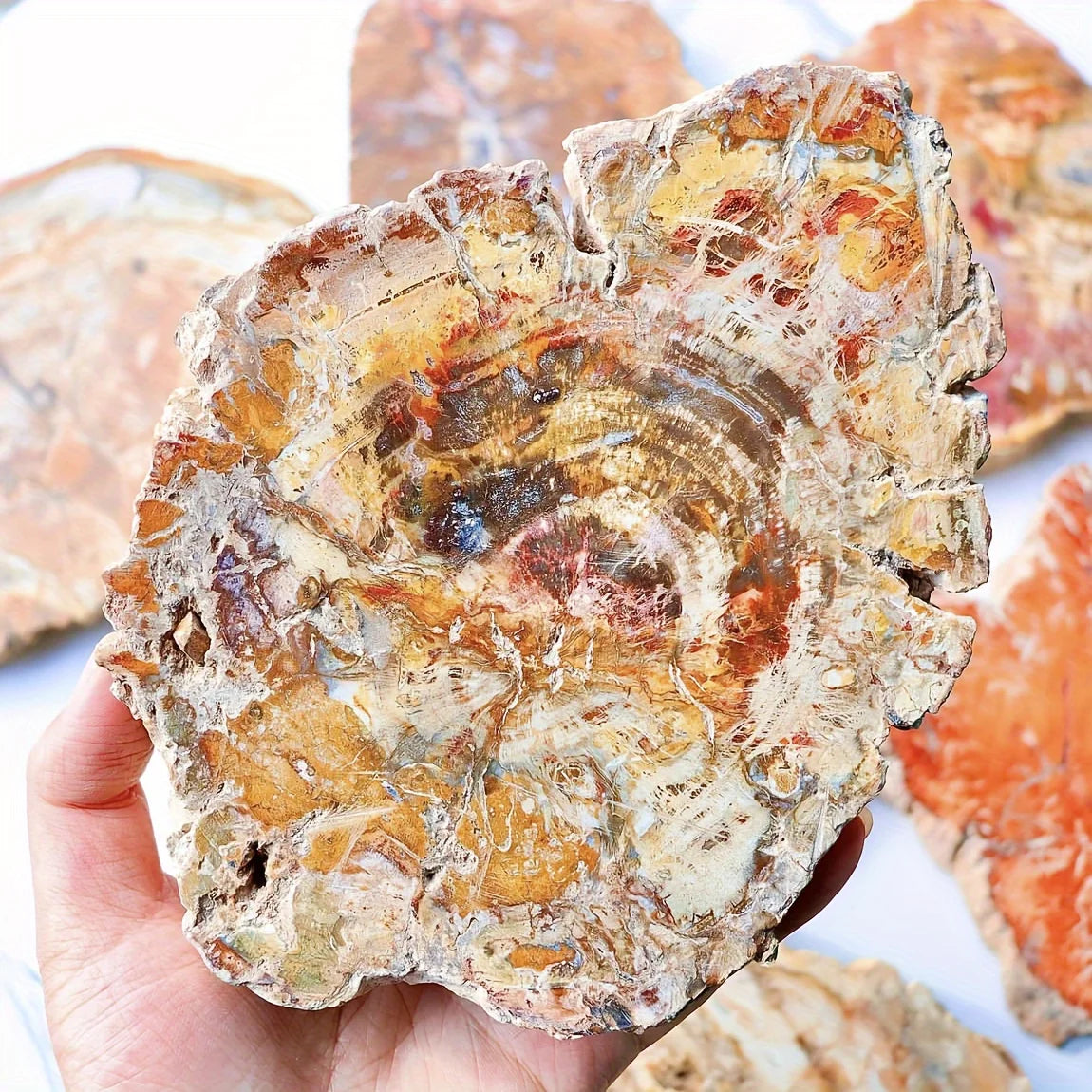 Natural Petrified Wood Crystal Slab – Unique Decorative Ornament for Home Decor