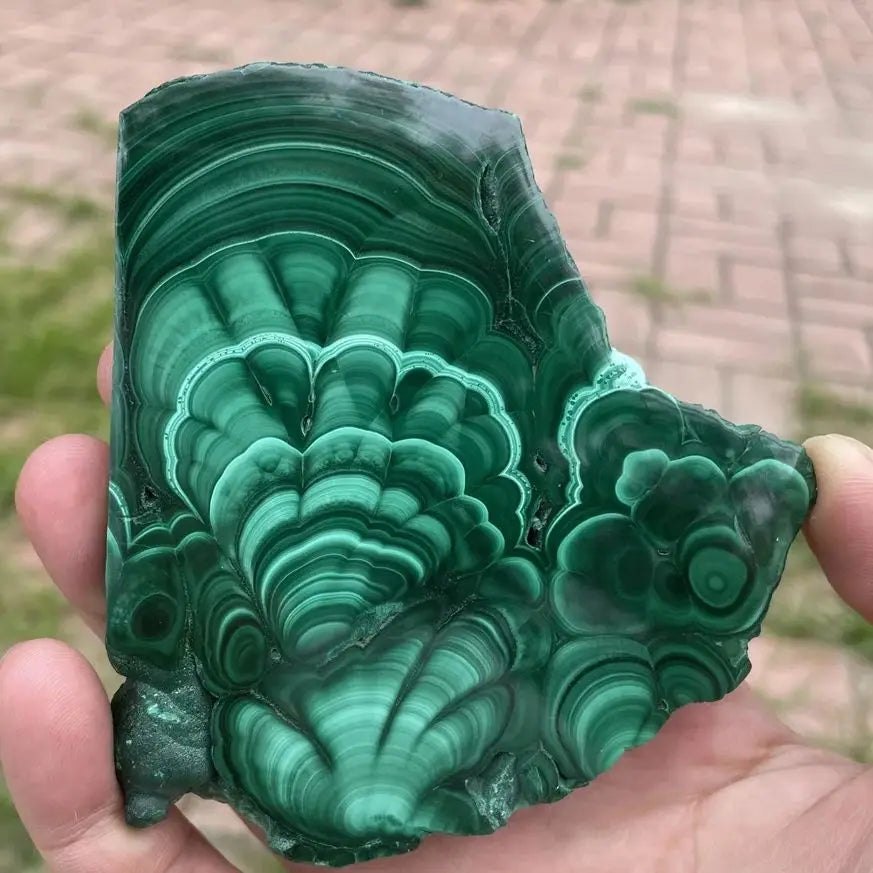 Natural Green Malachite Slices - Polished Mineral Specimens for Healing and Decor