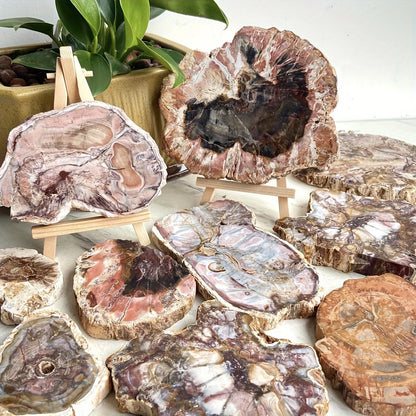 Natural Petrified Wood Crystal Slab – Unique Decorative Ornament for Home Decor