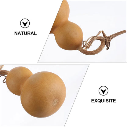 Natural Gourd Ornaments – Unique Home Decor & Perfect Gift for Any Occasion