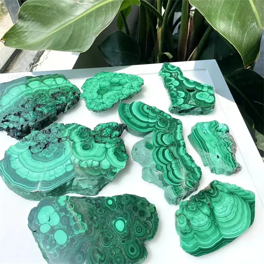 Natural Green Malachite Slices - Polished Mineral Specimens for Healing and Decor