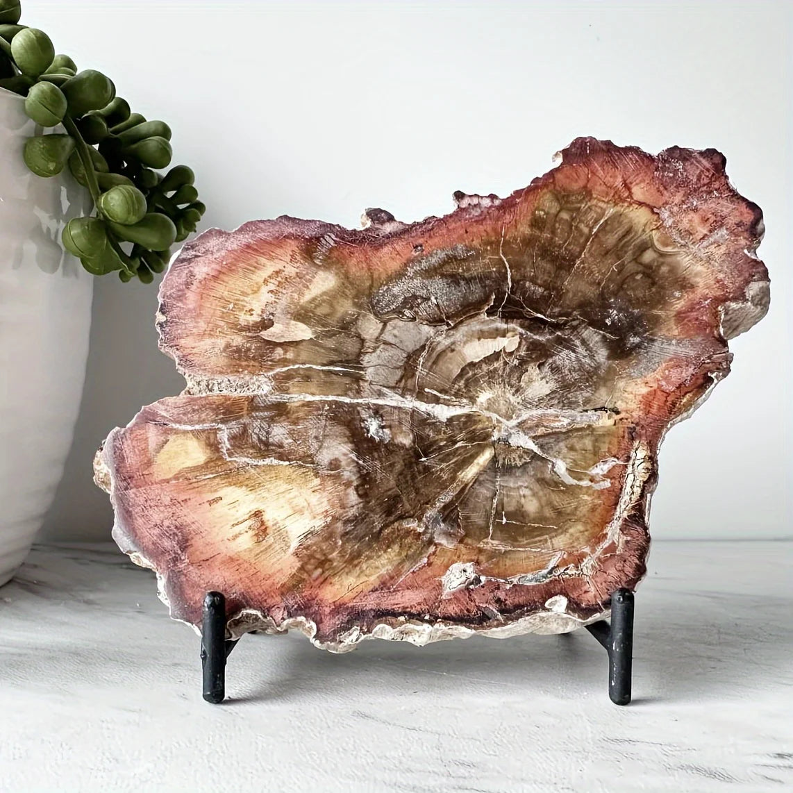 Natural Petrified Wood Crystal Slab – Unique Decorative Ornament for Home Decor