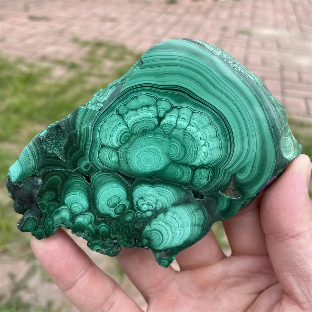 Natural Green Malachite Slices - Polished Mineral Specimens for Healing and Decor